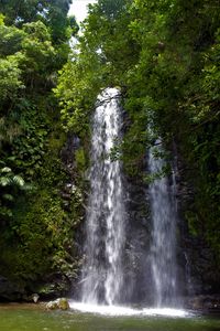 Preview wallpaper waterfall, stream, rocks, trees, branches
