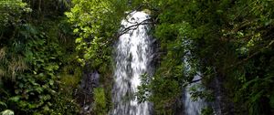 Preview wallpaper waterfall, stream, rocks, trees, branches