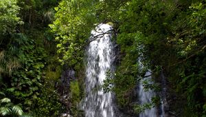 Preview wallpaper waterfall, stream, rocks, trees, branches
