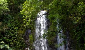 Preview wallpaper waterfall, stream, rocks, trees, branches