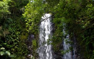 Preview wallpaper waterfall, stream, rocks, trees, branches