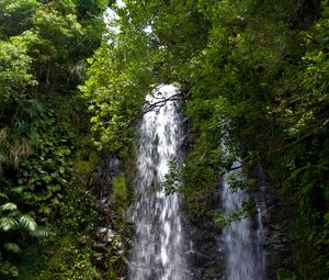 Preview wallpaper waterfall, stream, rocks, trees, branches