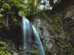 Preview wallpaper waterfall, stream, stones, moss, fern