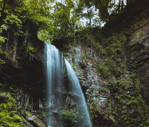 Preview wallpaper waterfall, stream, stones, moss, fern