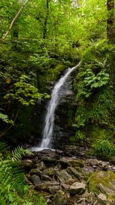 Preview wallpaper waterfall, stream, stones, plants, grass