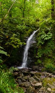 Preview wallpaper waterfall, stream, stones, plants, grass