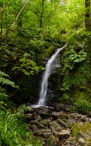 Preview wallpaper waterfall, stream, stones, plants, grass
