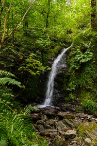 Preview wallpaper waterfall, stream, stones, plants, grass