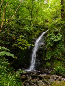 Preview wallpaper waterfall, stream, stones, plants, grass
