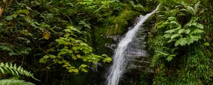 Preview wallpaper waterfall, stream, stones, plants, grass