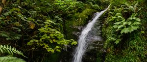 Preview wallpaper waterfall, stream, stones, plants, grass