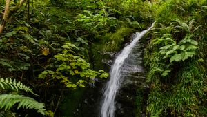 Preview wallpaper waterfall, stream, stones, plants, grass