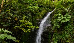 Preview wallpaper waterfall, stream, stones, plants, grass