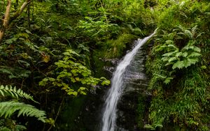 Preview wallpaper waterfall, stream, stones, plants, grass