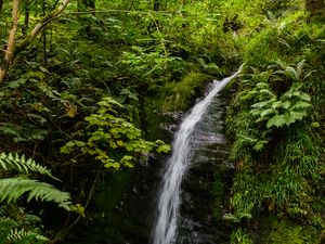 Preview wallpaper waterfall, stream, stones, plants, grass