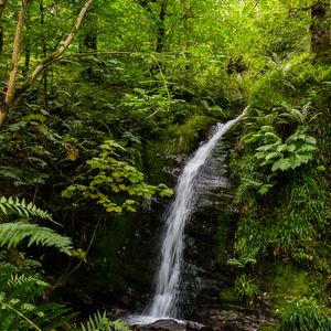 Preview wallpaper waterfall, stream, stones, plants, grass