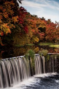 Preview wallpaper waterfall, stream, trees, landscape, autumn