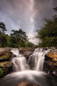 Preview wallpaper waterfall, stream, trees, bushes, stones