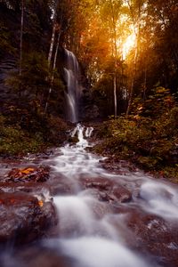 Preview wallpaper waterfall, stream, water, stones, trees