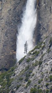 Preview wallpaper waterfall, tree, rock, bushes, cliff