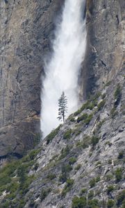Preview wallpaper waterfall, tree, rock, bushes, cliff