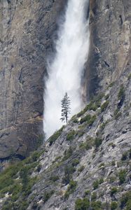 Preview wallpaper waterfall, tree, rock, bushes, cliff