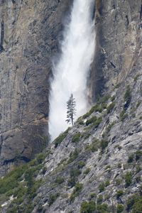 Preview wallpaper waterfall, tree, rock, bushes, cliff