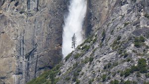 Preview wallpaper waterfall, tree, rock, bushes, cliff