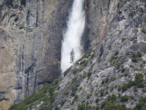 Preview wallpaper waterfall, tree, rock, bushes, cliff