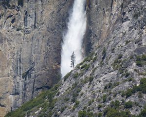 Preview wallpaper waterfall, tree, rock, bushes, cliff