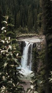 Preview wallpaper waterfall, trees, branches, course, cliff