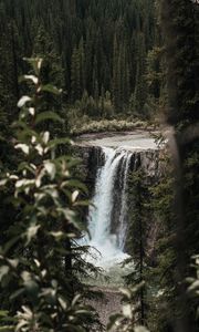 Preview wallpaper waterfall, trees, branches, course, cliff