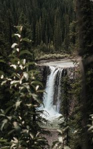 Preview wallpaper waterfall, trees, branches, course, cliff