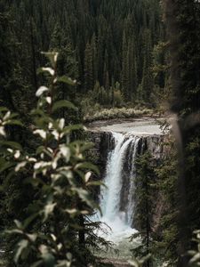 Preview wallpaper waterfall, trees, branches, course, cliff