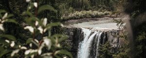 Preview wallpaper waterfall, trees, branches, course, cliff