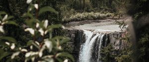 Preview wallpaper waterfall, trees, branches, course, cliff