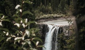 Preview wallpaper waterfall, trees, branches, course, cliff