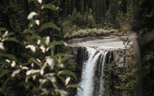 Preview wallpaper waterfall, trees, branches, course, cliff