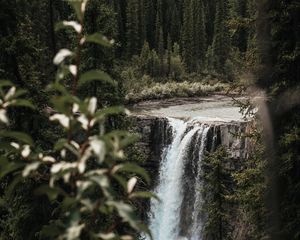 Preview wallpaper waterfall, trees, branches, course, cliff