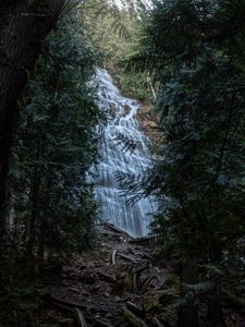 Preview wallpaper waterfall, trees, branches