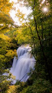 Preview wallpaper waterfall, trees, branches, rays, sun