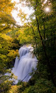 Preview wallpaper waterfall, trees, branches, rays, sun