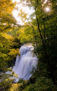 Preview wallpaper waterfall, trees, branches, rays, sun