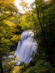 Preview wallpaper waterfall, trees, branches, rays, sun