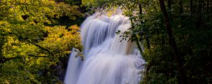 Preview wallpaper waterfall, trees, branches, rays, sun