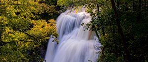 Preview wallpaper waterfall, trees, branches, rays, sun