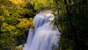 Preview wallpaper waterfall, trees, branches, rays, sun