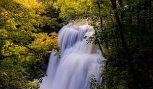 Preview wallpaper waterfall, trees, branches, rays, sun