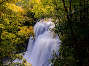 Preview wallpaper waterfall, trees, branches, rays, sun
