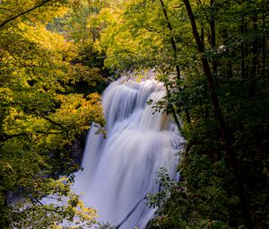 Preview wallpaper waterfall, trees, branches, rays, sun